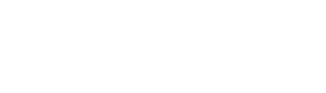 دکتر محمدمتین پنجه پور