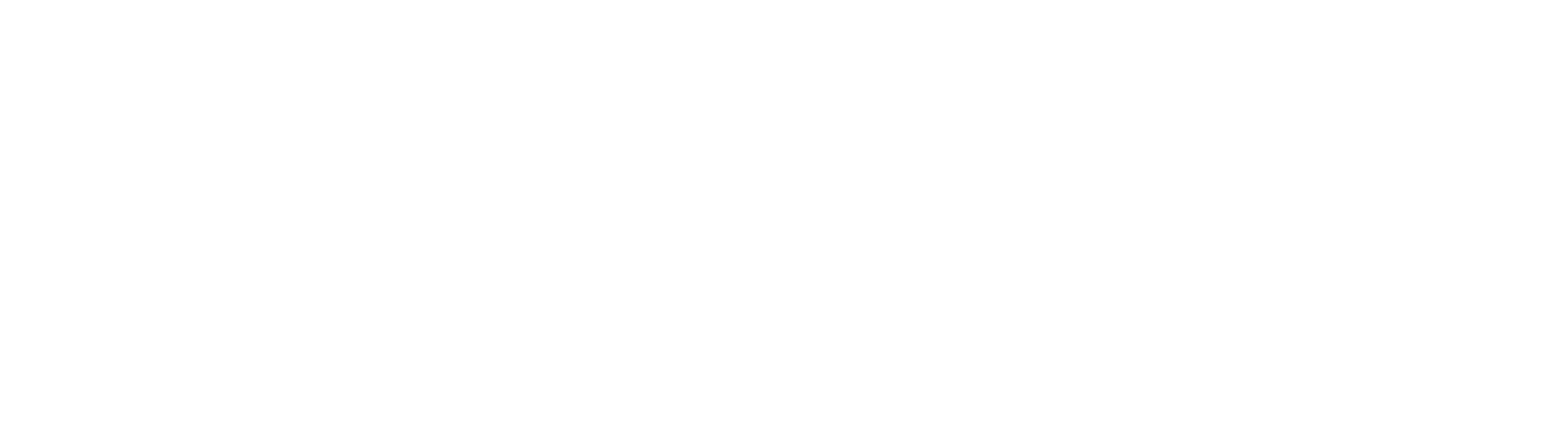 دکتر محمدمتین پنجه پور