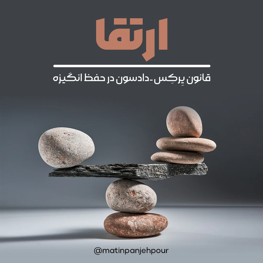 قانون یرکس دادسون (yerkes-dodson)