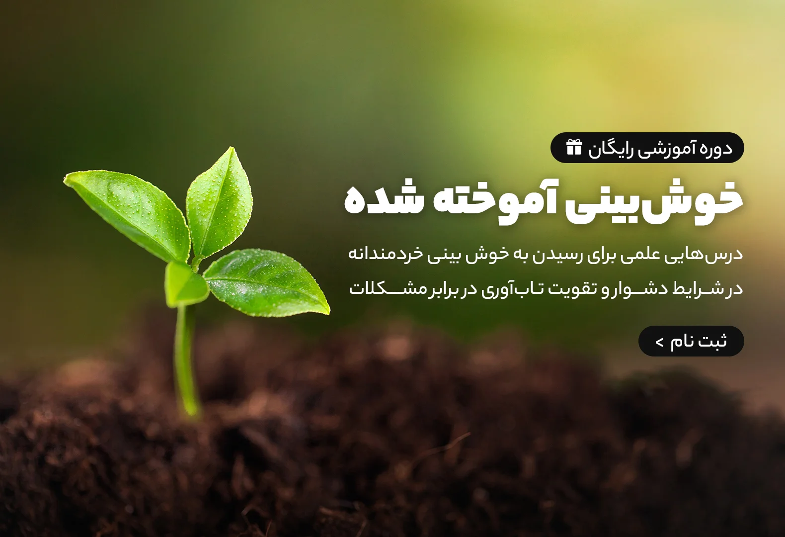 دوره خوش بینی آموخته شده