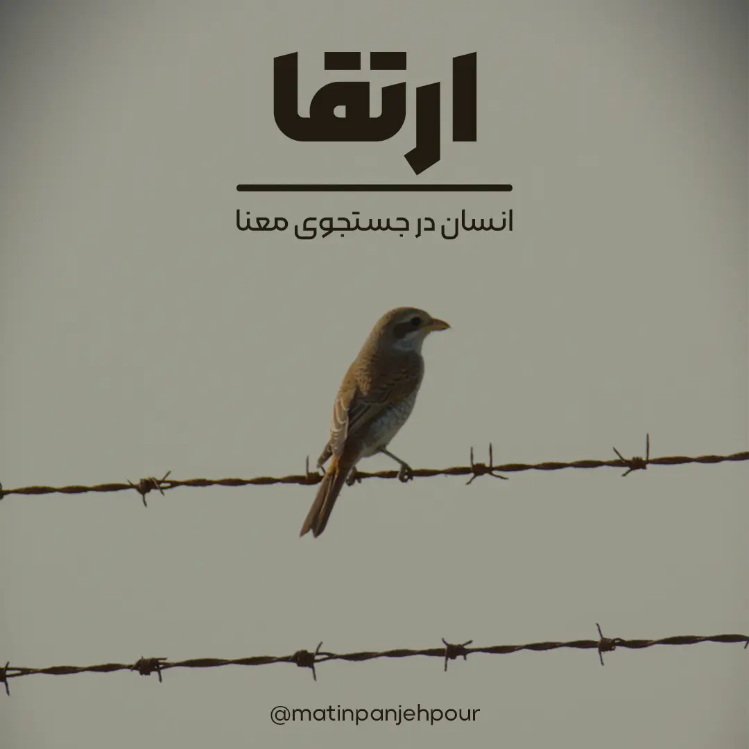 کاور پادکست ارتقا - خلاصه کتاب انسان در جستجوی معنا اثر ویکتور فرانکل)